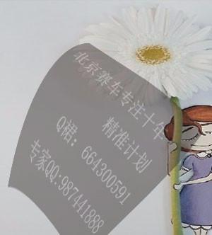 赛车女郎丝袜磁力,赛车女郎的性感魅力与丝袜魅力的完美融合