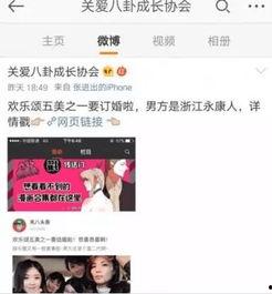 吃瓜娱乐圈小说封,娱乐圈幕后风云录