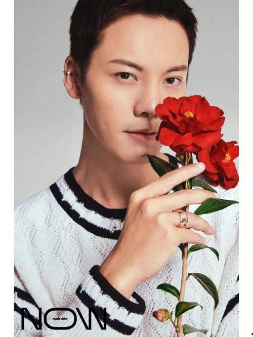 娱乐吃瓜君景甜,娱乐圈的甜蜜瓜果,甜蜜背后的故事